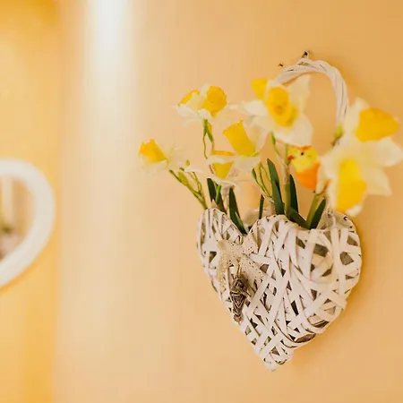 Vakantiehuis La Casa Degli Uccellini